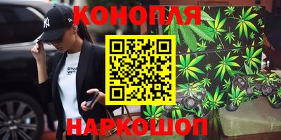 гидропоника Кинель