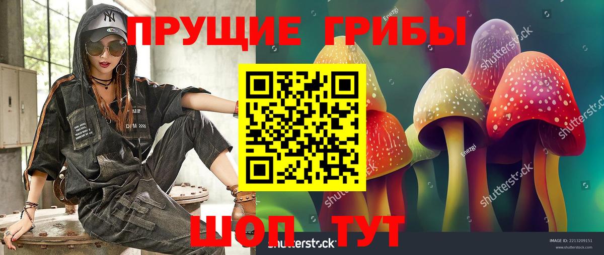 Галлюциногенные грибы Cubensis  Галлюциногенные грибы Psilocybe  где найти наркотики  Вход с VPN  Котовск 