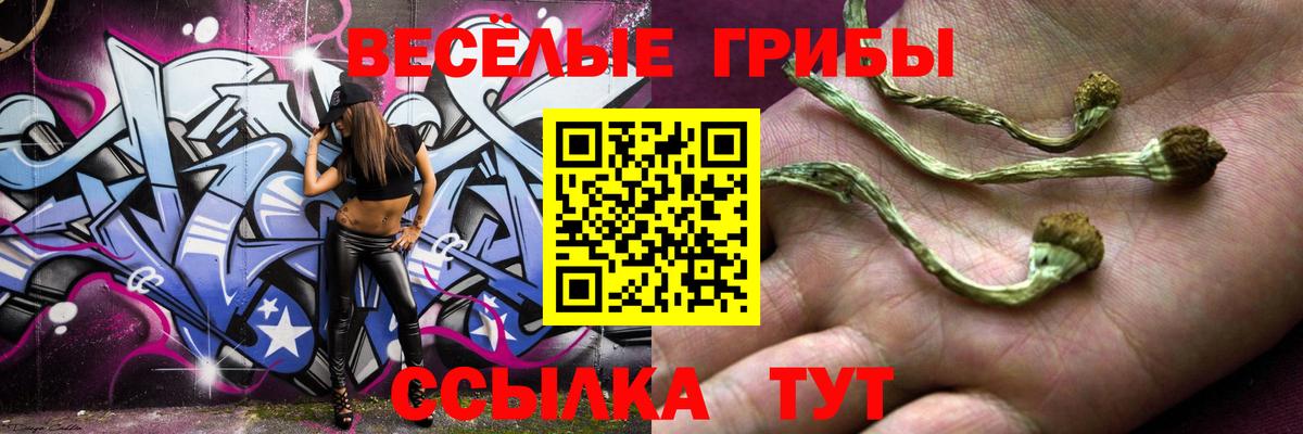 Галлюциногенные грибы Magic Shrooms Котовск